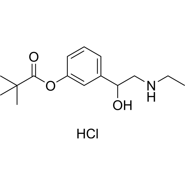 Etilefrine pivalate hydrochloride 42145-91-5